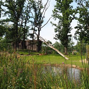 Rimba - Large mixed exhibit (Sep 16th, 2018)