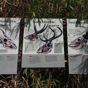 Animal weaponry signs (Sep 16th, 2018)