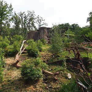 Sumatran tiger exhibit (Sep 16th, 2018)