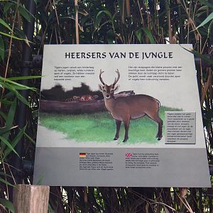 Tiger hunting sign (Sep 16th, 2018)