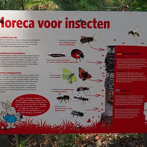 Insect hotel sign (Sep 16th, 2018)