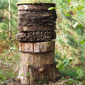 Insect hotel