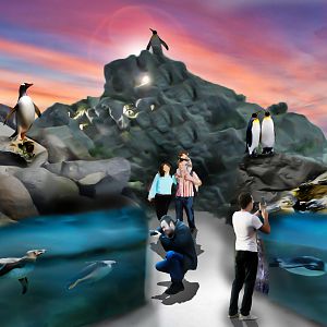 Penguin & Puffin Coast Surreal Concept Art (Saint Louis Zoo)
