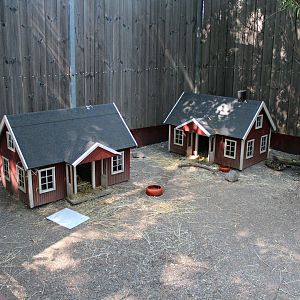 Guinea pig village (2013)