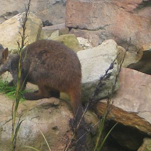 ANOTHER ID PLEASE......