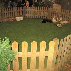 Europaschau 2018 - Duck/goose pen