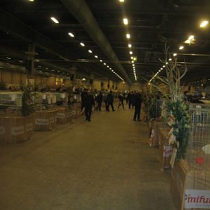 Europaschau 2018 - Poultry hall #1