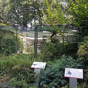 Pheasant - Hornbill aviary