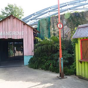 Entrance to the new Mangrove ecodisplay (Sep 16th, 2018)