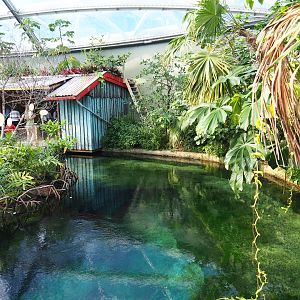 Manatee side pool and shacks in the new Mangrove (Sep 16th, 2018)