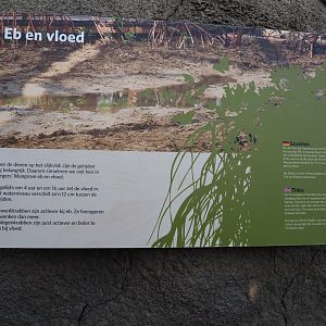 Information sign about tidal cycles (Sep 16th, 2018)