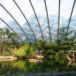View of manatee pool and geodesic dome (Sep 16th, 2018)
