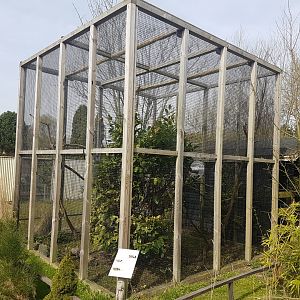 Enclosure Prevost squirrel