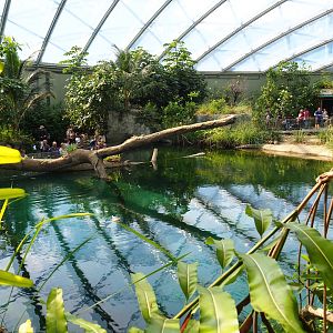 View over manatee pool (Sep 16th, 2018)