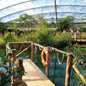 Dock and bridge over the manatee pool (Sep 16th, 2018)
