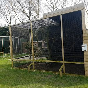 Hudson's squirrel enclosure