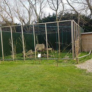 Enclosure Jungle cat