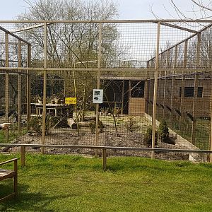 Enclosure Silver fox