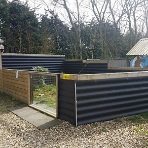 Bobak marmot-enclosure