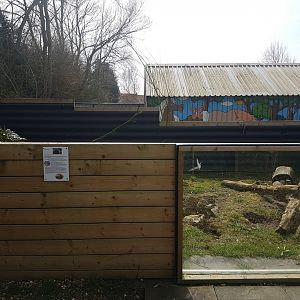 Bobak marmot-enclosure