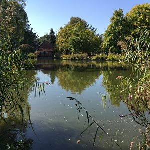 One of the small lakes without birds.