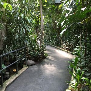 Inside the primate greenhouse