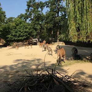 Mixed enclosure in the africa area