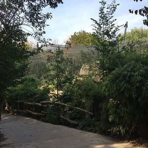 Walkthrough aviary from outside