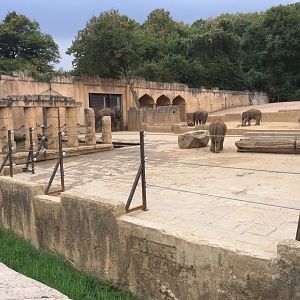 Asian area with elephants