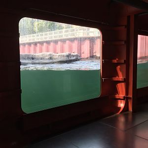 Seal enclosure in Yukon bay