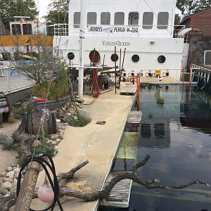 Penguin enclosure in Yukon Bay