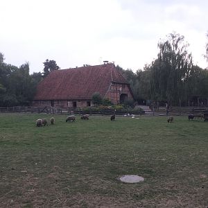 German/european area