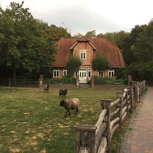 German/european area