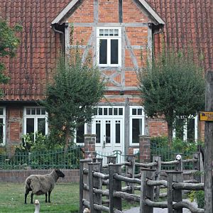 German/european area