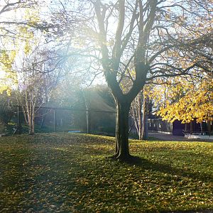 General view - 13 November 2018