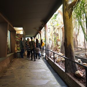 View in the old pheasantry bird house (Sep 16th, 2018)