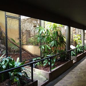 View of indoor aviaries in the old pheasantry bird house (Sep 16th, 2018)