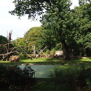 Chimpanzee colony (Sep 16th, 2018)