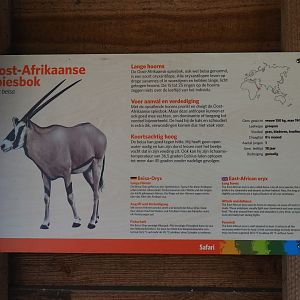Sign Beisa oryx (Sep 16th, 2018)