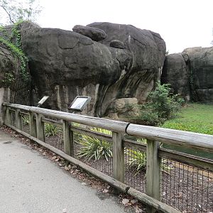 Cat Country - Cheetah Exhibit