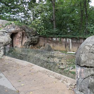 Cat Country - Meerkat Exhibit