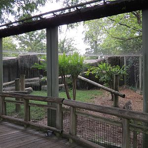 Cat Country - Snow Leopard Exhibit