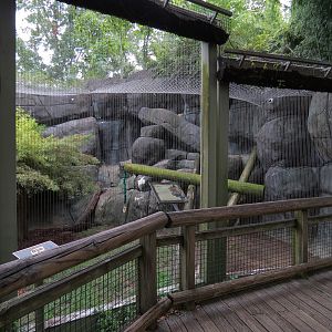 Cat Country - Jaguar Exhibit