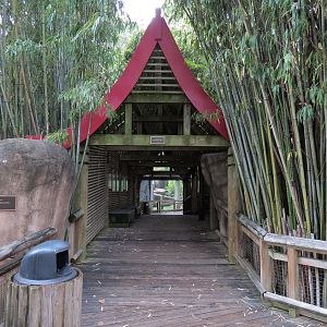 Cat Country - Walkway