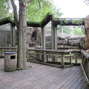 Cat Country - Puma Exhibit