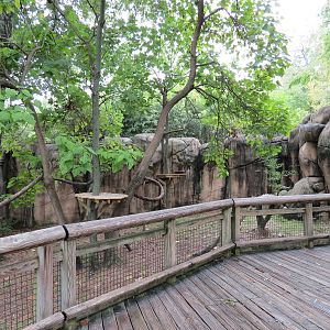 Cat Country - Red Panda Exhibit