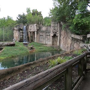 Cat Country - Bengal Tiger Exhibit