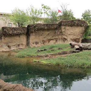 Cat Country - Bengal Tiger Exhibit