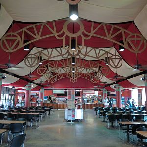 Cat House Cafe - Interior