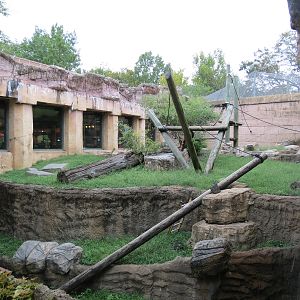 Primate Canyon - White-cheeked Gibbon Exhibit 1